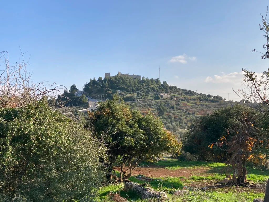 Wadi Rajeb valley view at Ard Farm, Ajloun, Jordan