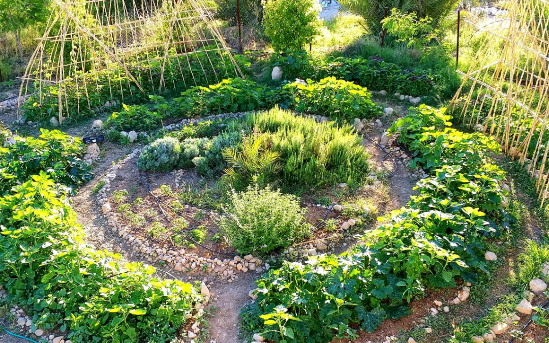 Permaculture Design Certificate Course (PDC)