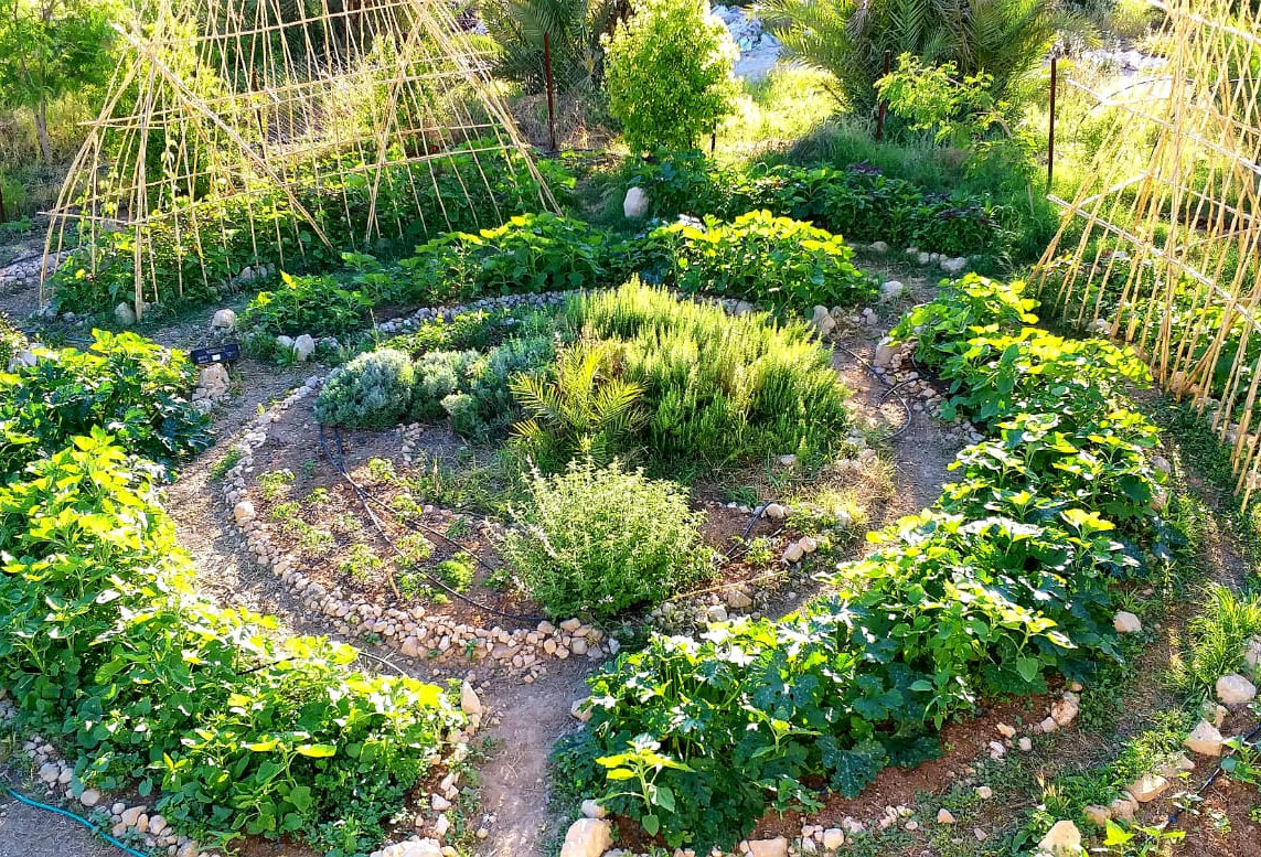 Permaculture design consultancy session at Ard Farm, Jordan
