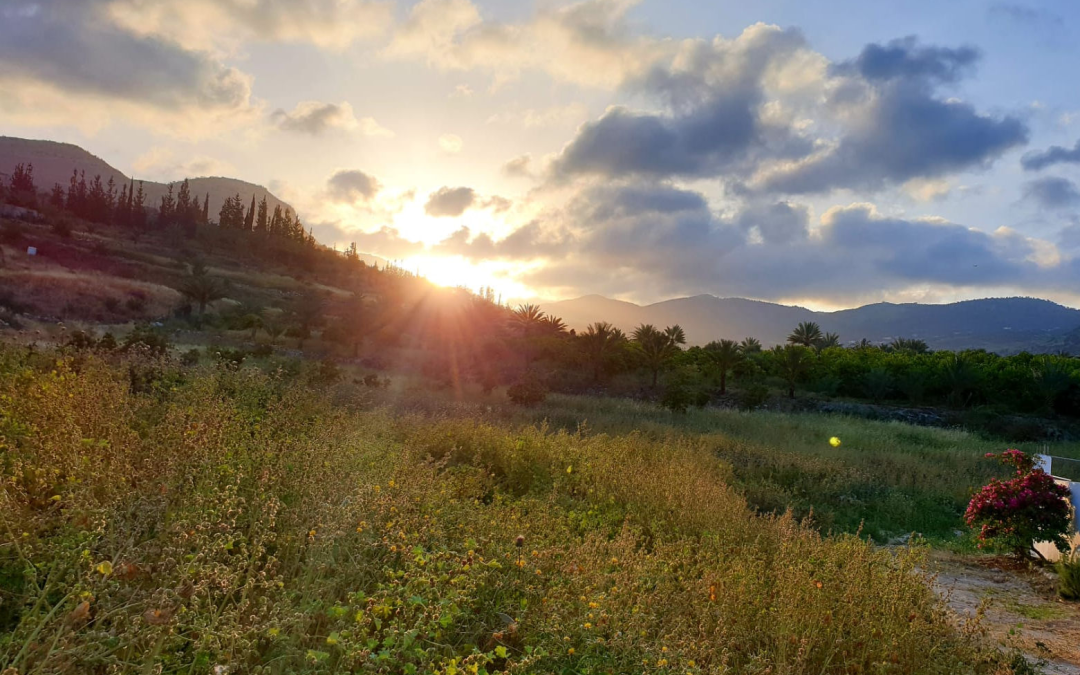 Restoring Ecosystems with Permaculture